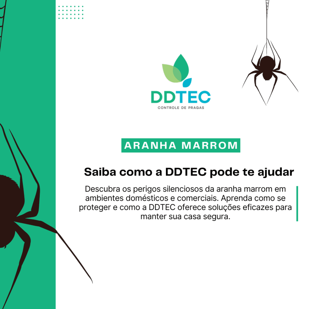 Aranha Marrom em Curitiba: Um Perigo Silencioso nas Residências e Como a DDTEC Pode Ajudar