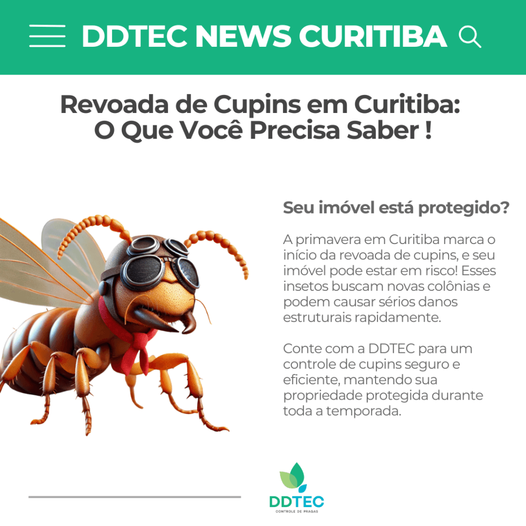 Revoada de Cupins em Curitiba: O Que Você Precisa Saber