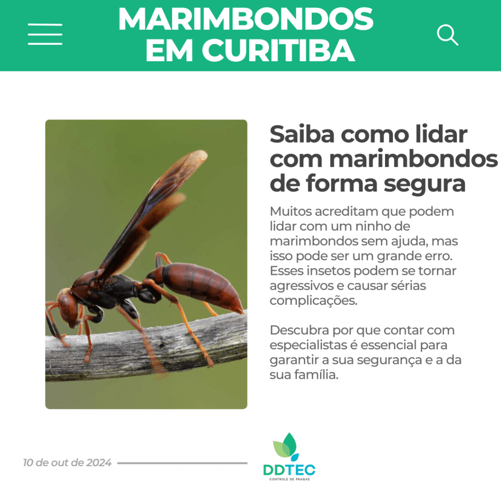 5 Soluções Eficazes Para Dedetização de Marimbondos