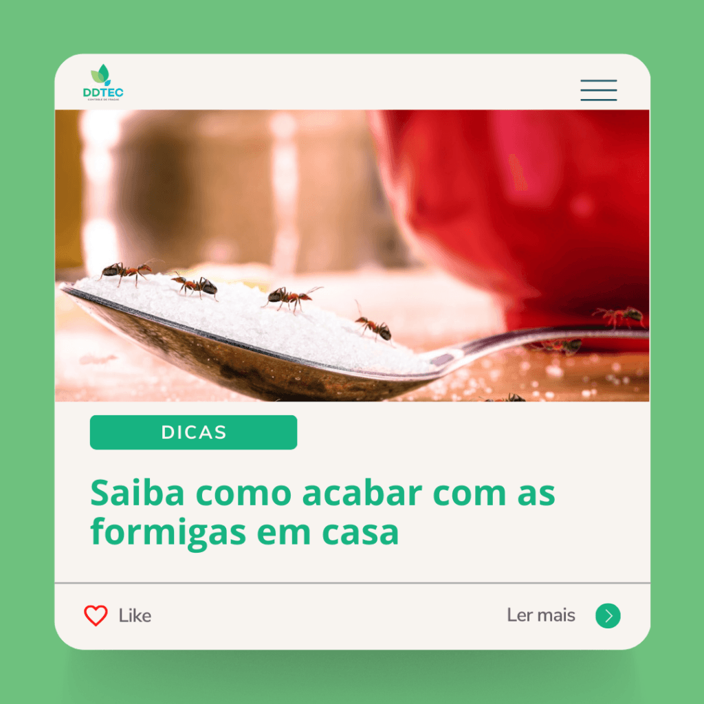 Formigas em Casa: O Que Você Precisa Saber e a Importância da Dedetização