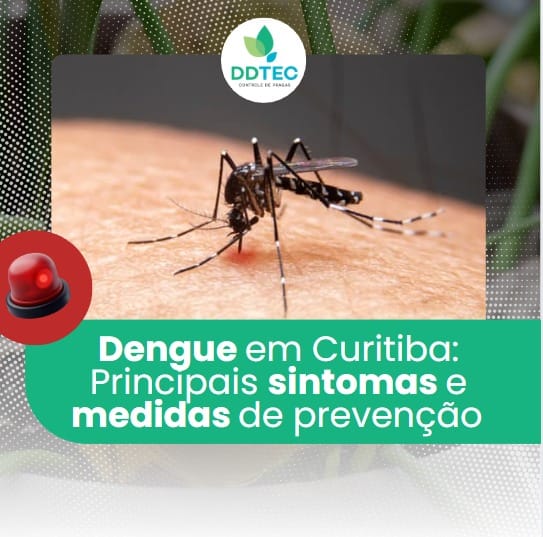 Dengue em Curitiba: Principais Sintomas e Medidas de Prevenção