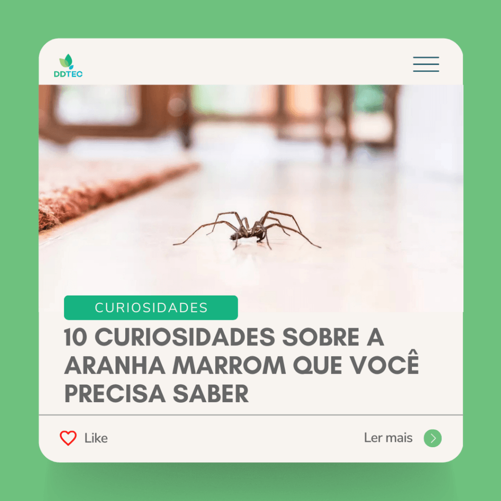 10 Curiosidades Sobre a Aranha Marrom Que Você Precisa Saber