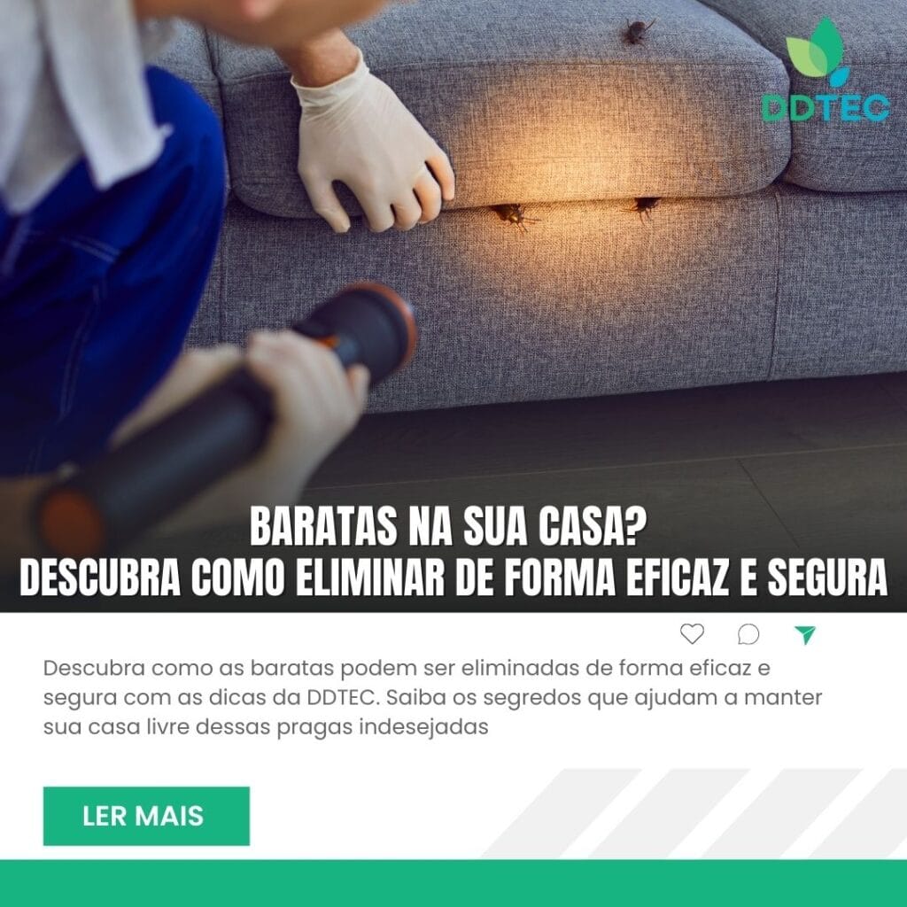 Baratas na Sua Casa? Descubra Como Eliminar de Forma Eficaz e Segura