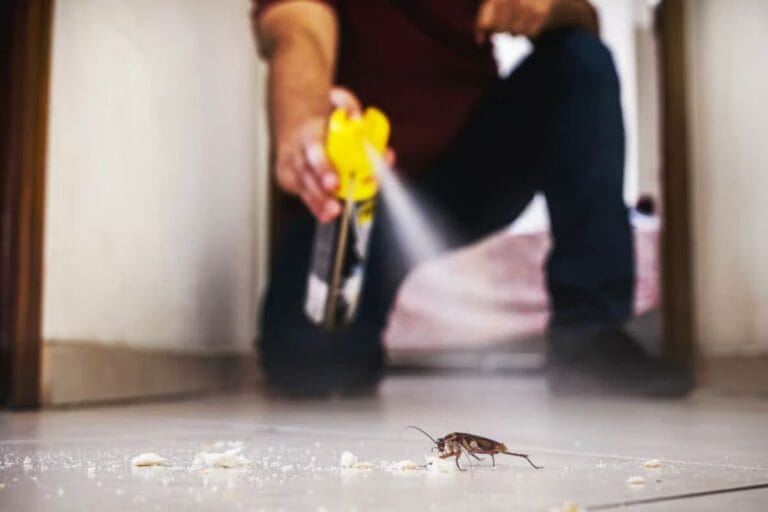 Pessoa aplicando spray de inseticida em uma barata no chão, mas o inseto continua se movendo, simbolizando a dificuldade de eliminar baratas de forma eficaz.