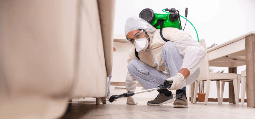 Técnico em dedetização usando equipamento de pulverização para controle de pragas em um ambiente residencial.
