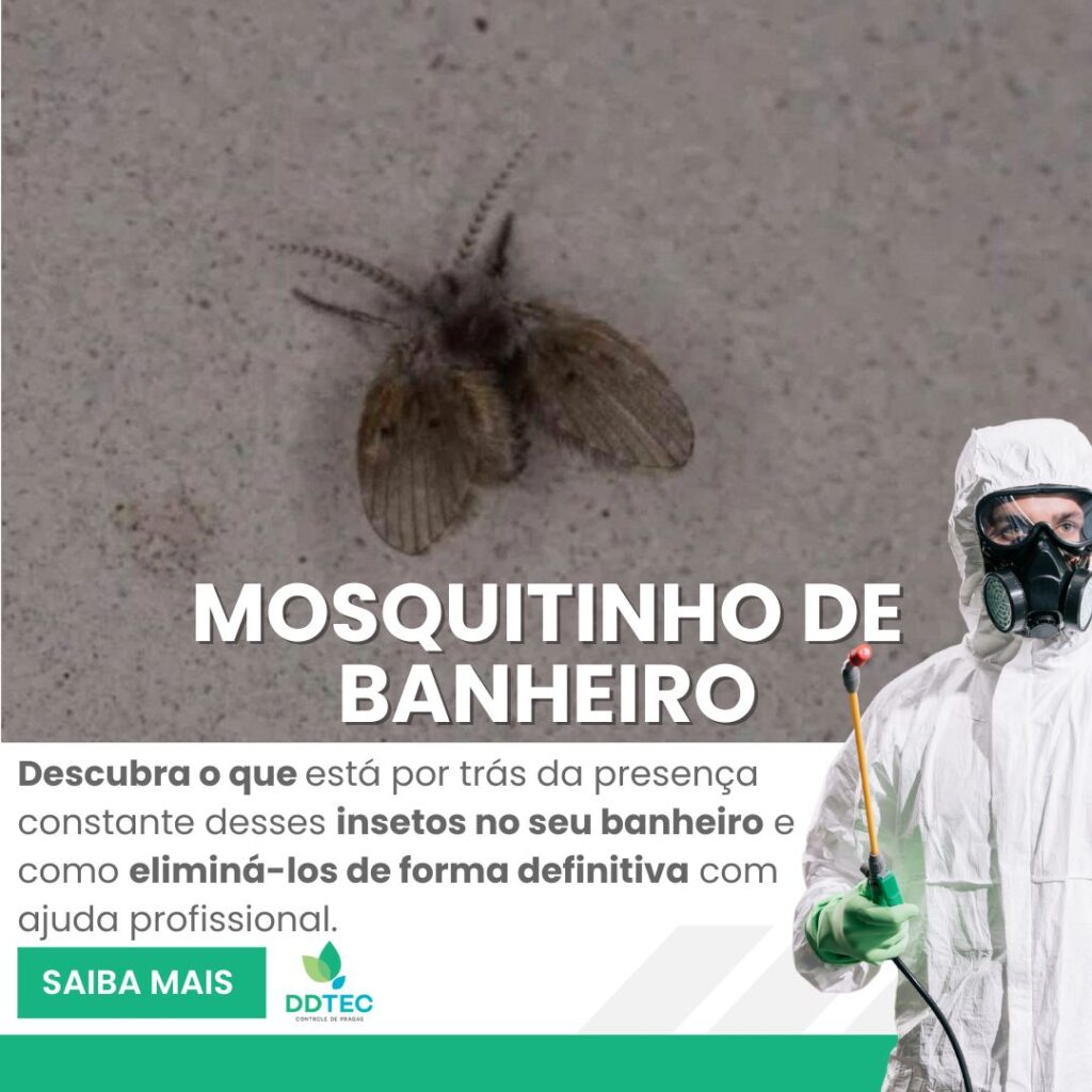 Imagem de uma mosca de banheiro em Curitiba (Clogmia albipunctata) sobre uma superfície, acompanhada de profissional com equipamento de dedetização, representando o controle eficaz de moscas de banheiro com ajuda técnica especializada.