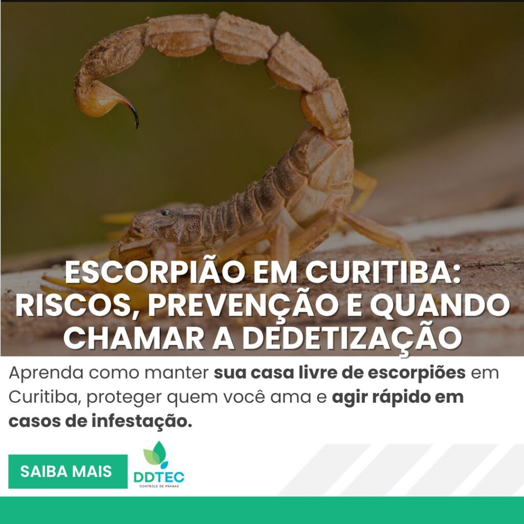 Escorpião amarelo em ambiente natural, destaque para artigo sobre riscos, prevenção e dedetização de escorpião em Curitiba.