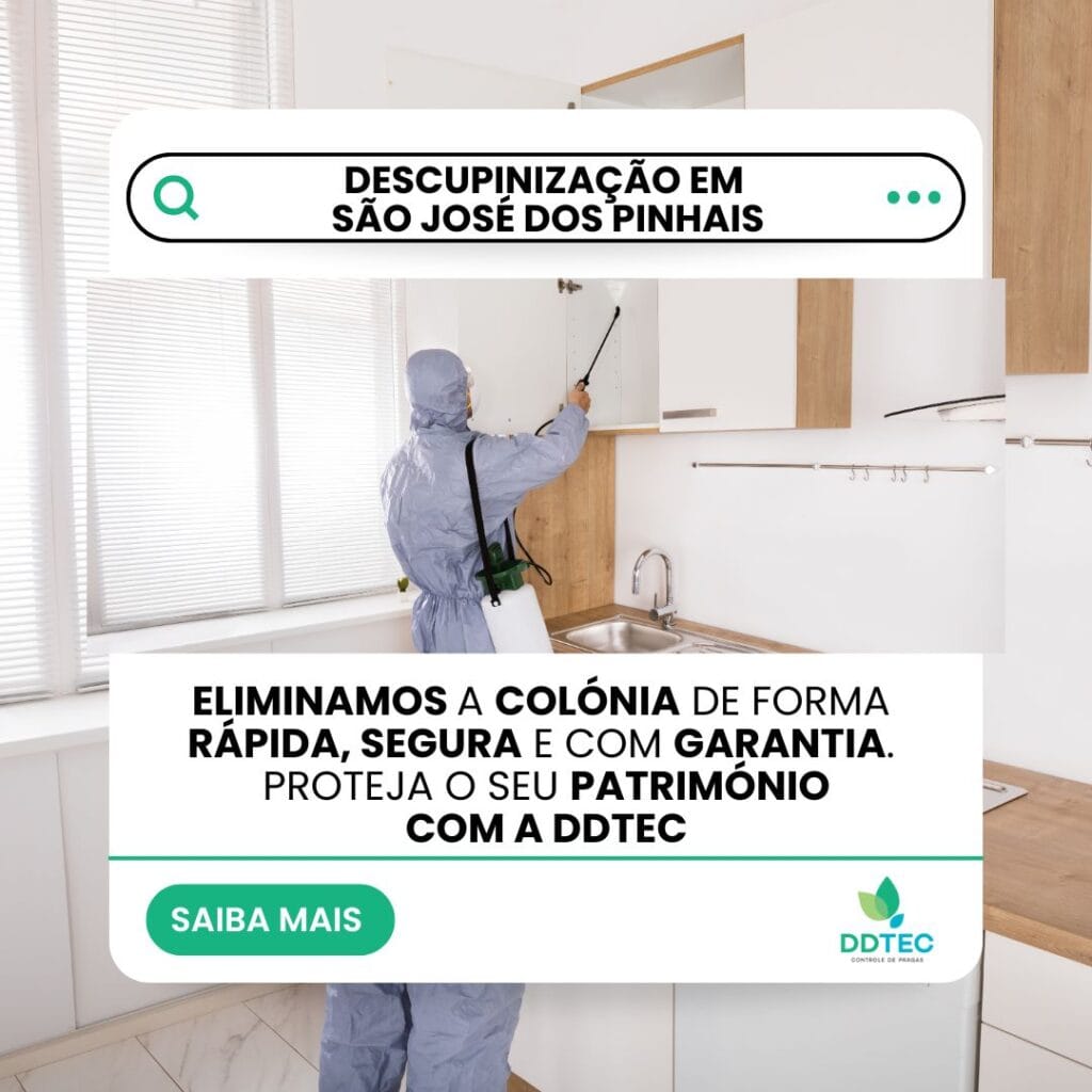 Descupinização em São José dos Pinhais