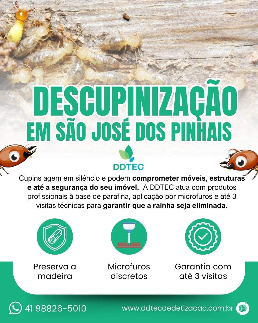 Infográfico da DDTEC sobre o serviço de descupinização em São José dos Pinhais, com os benefícios do tratamento profissional.