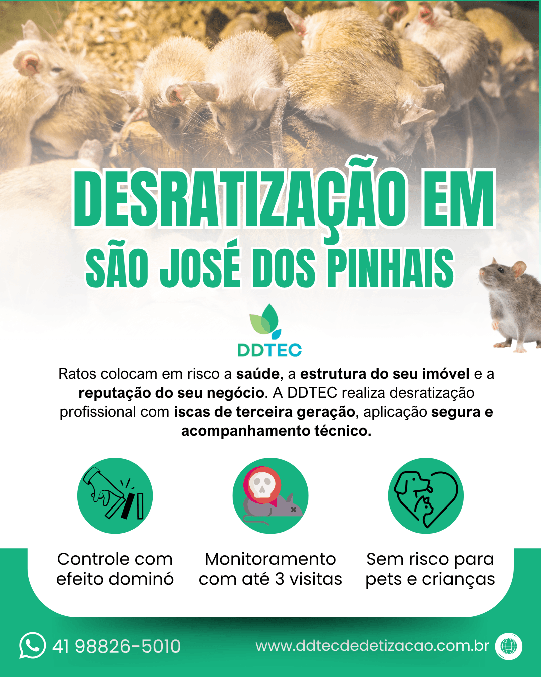 Serviço de desratização profissional em São José dos Pinhais pela DDTEC, com técnico especializado.